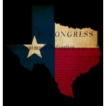 texas_icon_for_webinar