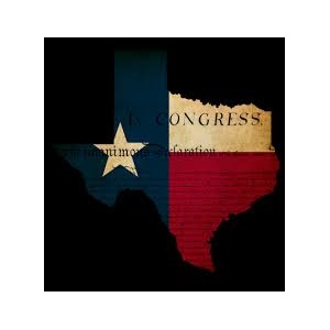 texas_icon_for_webinar